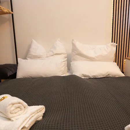 Apartment City-appartment Im Bachhviertel *