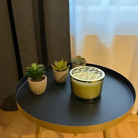 City-appartment Im Bachhviertel Λειψία